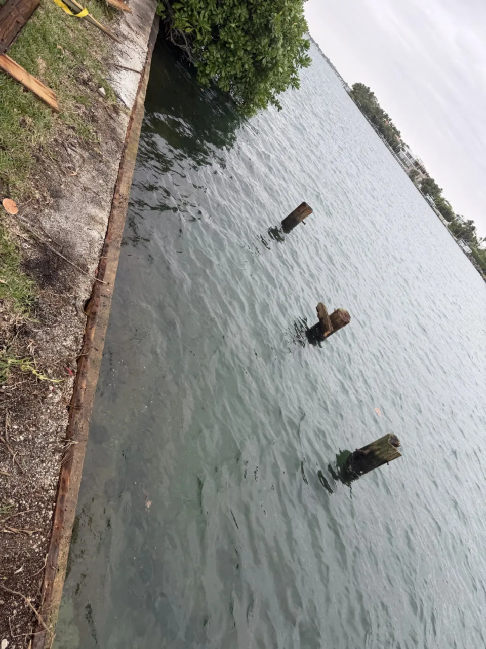 Seawall with the dock gone, cut piling stumps in the water