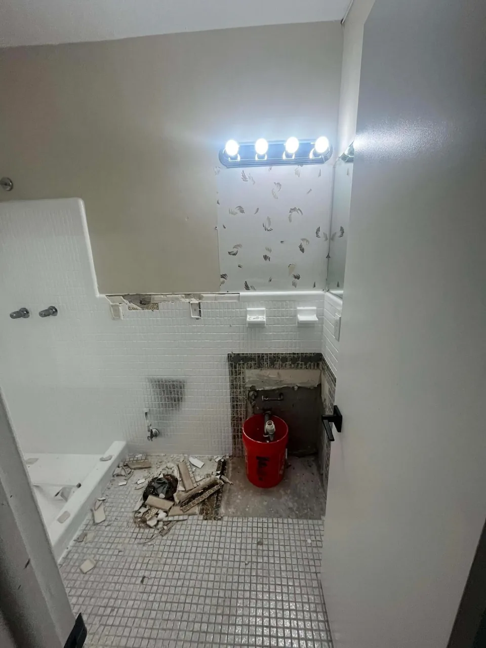 Bathroom partway through demo