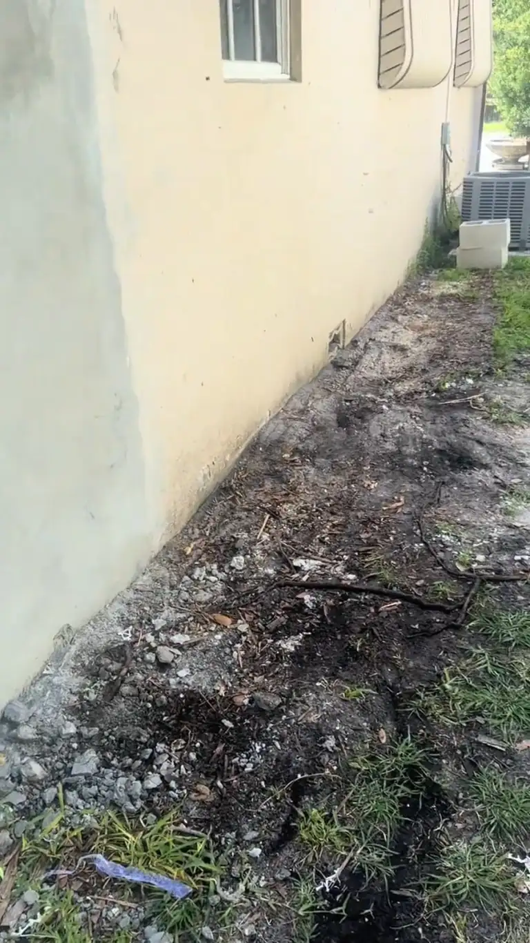 Side yard cleared