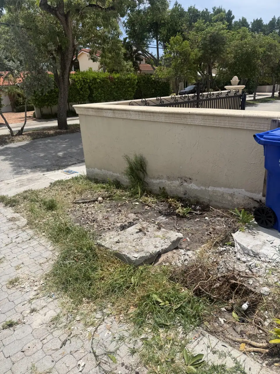 The same spot cleared
