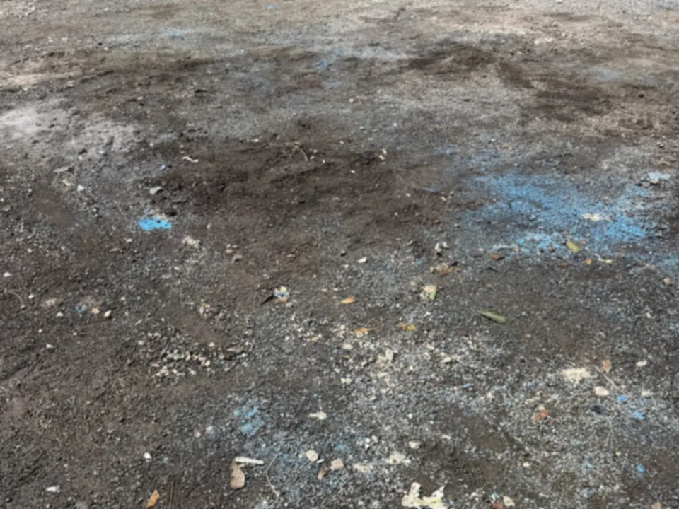 Clean, swept room on a job site after the scheduled pickup