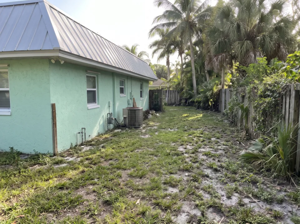 Illustration, after: all branches, fronds and the fence section removed