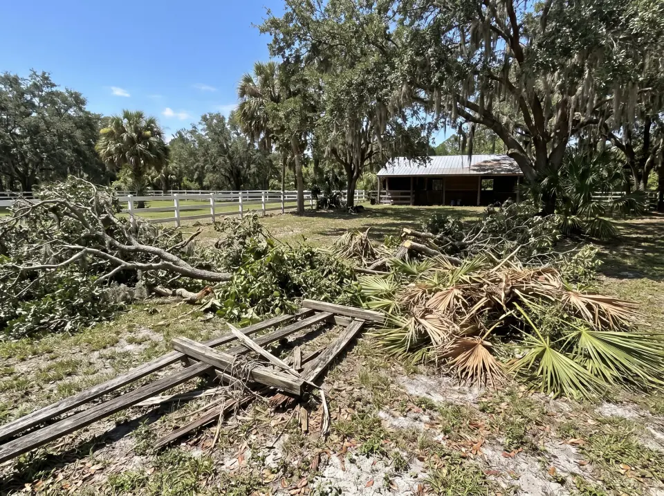 Illustration: a side yard full of storm-fallen branches, palm fronds and an old fence section on a large Southwest Ranches country lot with white horse fencing, oak trees and a barn, clear midday sun