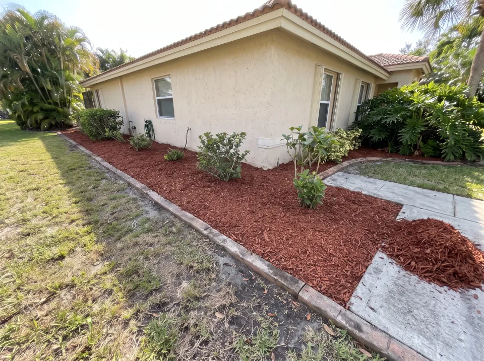 Illustration, after: the garden bed covered in fresh red mulch, with a neat mound of mulch at the edge of the driveway